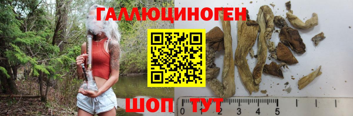 Учалы  Псилоцибиновые грибы мухоморы  Псилоцибиновые грибы прущие грибы  Вход с VPN 